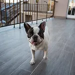 Lux - Skolas Appart hôtel