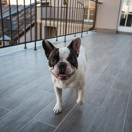 Lux - Skolas Lejlighedshotel